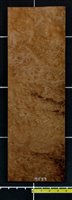 Redwood .7mm Burl wood veneer