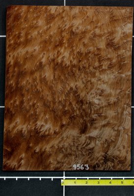 Redwood .7mm Burl wood veneer