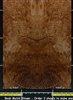 Redwood Guitar .7mm Lace Burl Crotch wood veneer