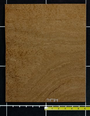 Sapele Pomelle - Pebble wood veneer