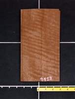 Primavera .9mm bargain baby bundle wood veneer