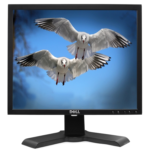 19"" Dell Ultra Sharp 1908fpb Dvi Rotating Lcd Monitor W/usb 2.0 Hub& Hdcp Support (black)