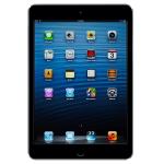 Apple Ipad Air With Wi-fi 16gb - Space Gray