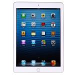 Apple Ipad Air 2 With Wi-fi 16gb - White & Gold