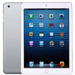 Apple Ipad Air 2 With Wi-fi 16gb - White & Silver