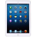 Apple Ipad Air 2 With Wi-fi 16gb - White & Silver (etching)