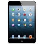 Apple Ipad Mini With Wi-fi 16gb - Black & Slate