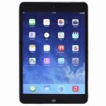 Apple Ipad Mini With Wi-fi 16gb - Black & Slate (skin)