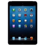 Apple Ipad Air 2 With Wi-fi + Cellular 16gb - Space Gray