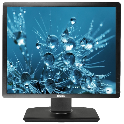 19"" Dell P1913sf Dvi/displayport/vga 1440x900 Rotating Led Lcdmonitor W/usb Hub (black)