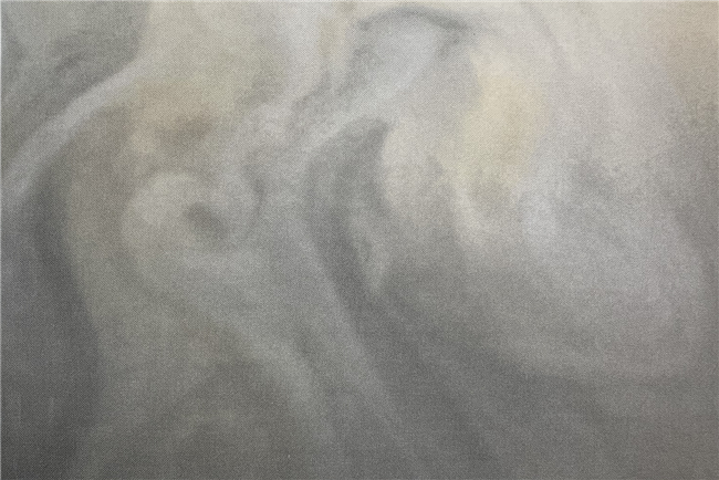 Sunflower Printed Fabric Grey Smoke