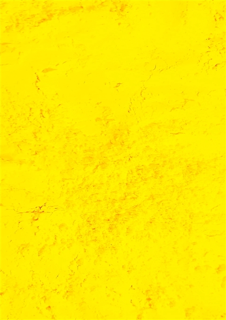 Sunflower Printed Fabric Neon Yellow Dust