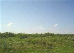 Texas, Ward County, 5 Acre, Lot 38. TERMS $100/Month