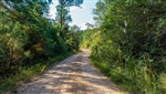 Alabama, Lamar County, 5.75 Acre Willow Grove, Lot 15. TERMS $361/Month