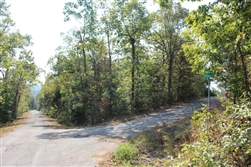 Arkansas, Sharp County, Cherokee Village, Lot 01 Block 02, Electricity, Water. TERMS: $50/Month