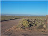Arizona, Navajo County, 1.25 Acres Arizona Rancho, Lot 64 #34 T18N R22E. TERMS $51/Month