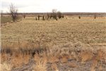 Arizona, Navajo County, 1.26 Acres Arizona Rancho, Lot 104 Rancho 103. TERMS $53/Month