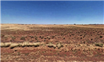 Arizona, Navajo County, 1.25 Acres Arizona Rancho, Lot 48. TERMS $50/Month