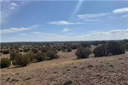 Arizona, Navajo County, 5.0 Acres Chevelon Canyon Ranch, Lot D73 Section 29. TERMS $192/Month