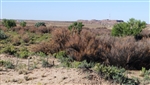 Arizona, Navajo County, 30.09 Acres Holbrook, T17N,R21E: PORTION SECTION 5. TERMS $651/Month