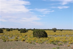 Arizona Park Estates, Apache Arizona