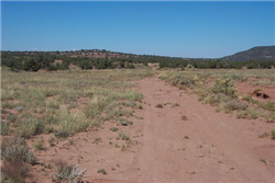 Arizona, Navajo County, 1.17 Acres Ranch of the Golden Horse, Lot 961 Unit 4. TERMS $71/Month