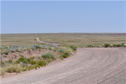 Arizona, Navajo County, 10 Acres Sun Valley , Section 11 T18N R22E: E2 S2 S2 Se4 Se4. TERMS $127/Month