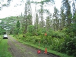 Hawaii, Hawaii County, 1/4 Acre Nanawale Estates, Plumeria Road. TERMS $155/Month