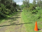 Hawaii, Near Hilo, 0.18 Acre Nanawale Estates, Pakalana Road, Electricity, Water. TERMS $199/Month