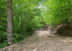 Kentucky, Casey County, 5.02 Acre Laurel Ridge, Lot 4. TERMS $270/Month