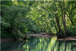Kentucky, Jackson County, 6.14 Acres River's Edge, Lot 29. TERMS $263/Month
