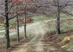 Kentucky, Laurel County, 7.12 Acre Serenity Creek, Lot 12. TERMS $425/Month