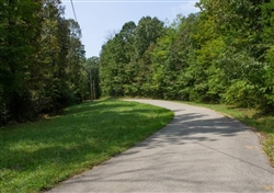 Kentucky, Wayne County, 4.40 Acre Bluegrass Ridge, Lot 3, Water. TERMS $429/Month