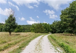 Kentucky, Wayne County, 3.91 Acre Rolling Hills, Lot 5. TERMS $429/Month
