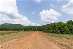 Kentucky, Wayne County, 7.95 Acre Rolling Hills, Lot 6. TERMS $724/Month