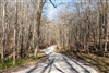 Kentucky, Wayne County, 5.14 Acre Woodland Heights, Lot 3, Creek. TERMS $484/Month