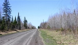 Michigan, Baraga County, 20 Acre Abby Point. TERMS $384/Month