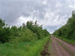 Minnesota, Koochiching County, 40 Acres. TERMS $250/Month