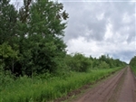 Minnesota, Koochiching County, 40 Acres. TERMS $234/Month