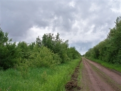 Minnesota, Koochiching County, 60 Acres. TERMS $150/Month