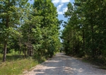 Missouri, Shannon County, 5.12 Acre Borgmannâ€™s Hollow Phase I, Lot 9. TERMS $180/Month