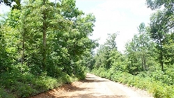 Missouri, Shannon County, 5.33  Acre Green Mountain Ranch, Borders National Forest. TERMS $170/Month