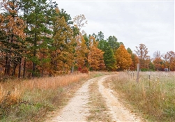 Missouri, Reynolds County, 5.27 Acres Hawkcrest, Lot 21. TERMS $329/Month