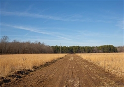 Missouri, Shannon County, 8.07 Acre O'Connor Crossing, Lot 5, Creek. TERMS $359/Month