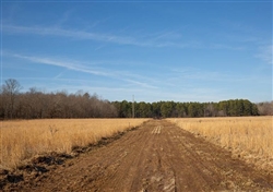 Missouri, Shannon County, 4.37 Acre O'Connor Crossing, Lot 15, Creek. TERMS $279/Month