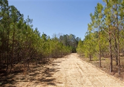 Mississippi, Tishomingo County, 5.02 Acres Southern Hills, Lot 4. TERMS $289/Month