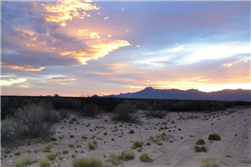New Mexico, Luna County, 0.50 Acre Deming Ranchettes, Lot 24. TERMS $42/Month
