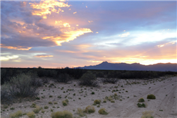 New Mexico, Luna County, 0.50 Acre Deming Ranchettes, Lot 25. TERMS $43/Month