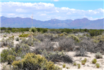 New Mexico, Luna County, 0.50 Acre Deming Ranchettes, Lot 7 Block 3. TERMS $31/Month