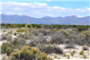 New Mexico, Luna County, 1.00 Acre Deming Ranchettes, Lots 9 & 10 Block 32, Adjoining. TERMS $62/Month